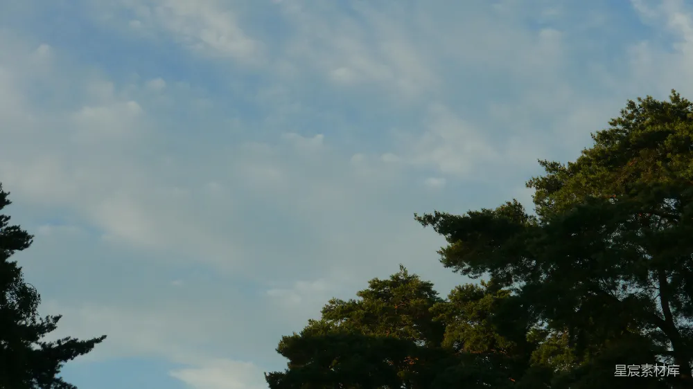 高清摄影 蓝天白云间绿树点点。