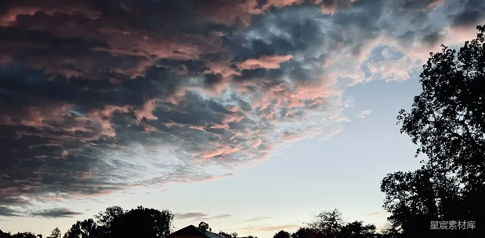 高清摄影 夕阳下的粉灰云层笼罩着树木