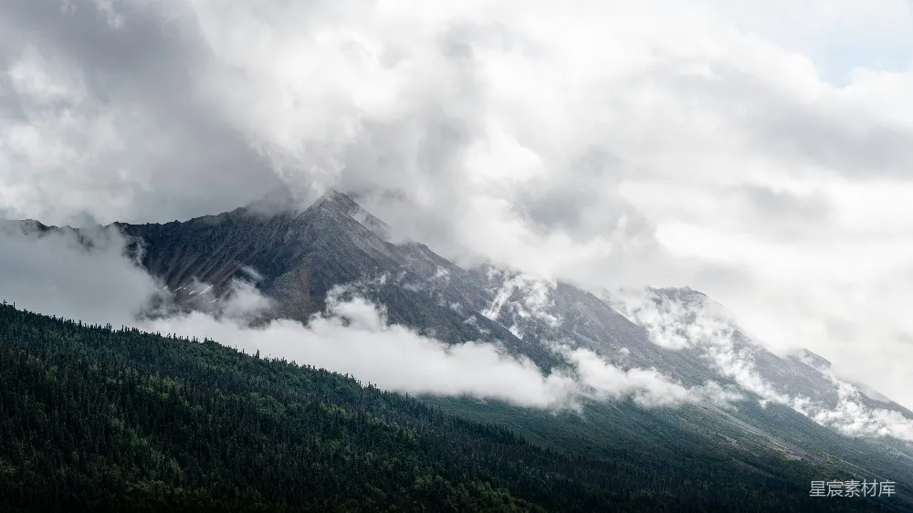 高清摄影 云雾覆盖的山峦和树影下的阴天景色