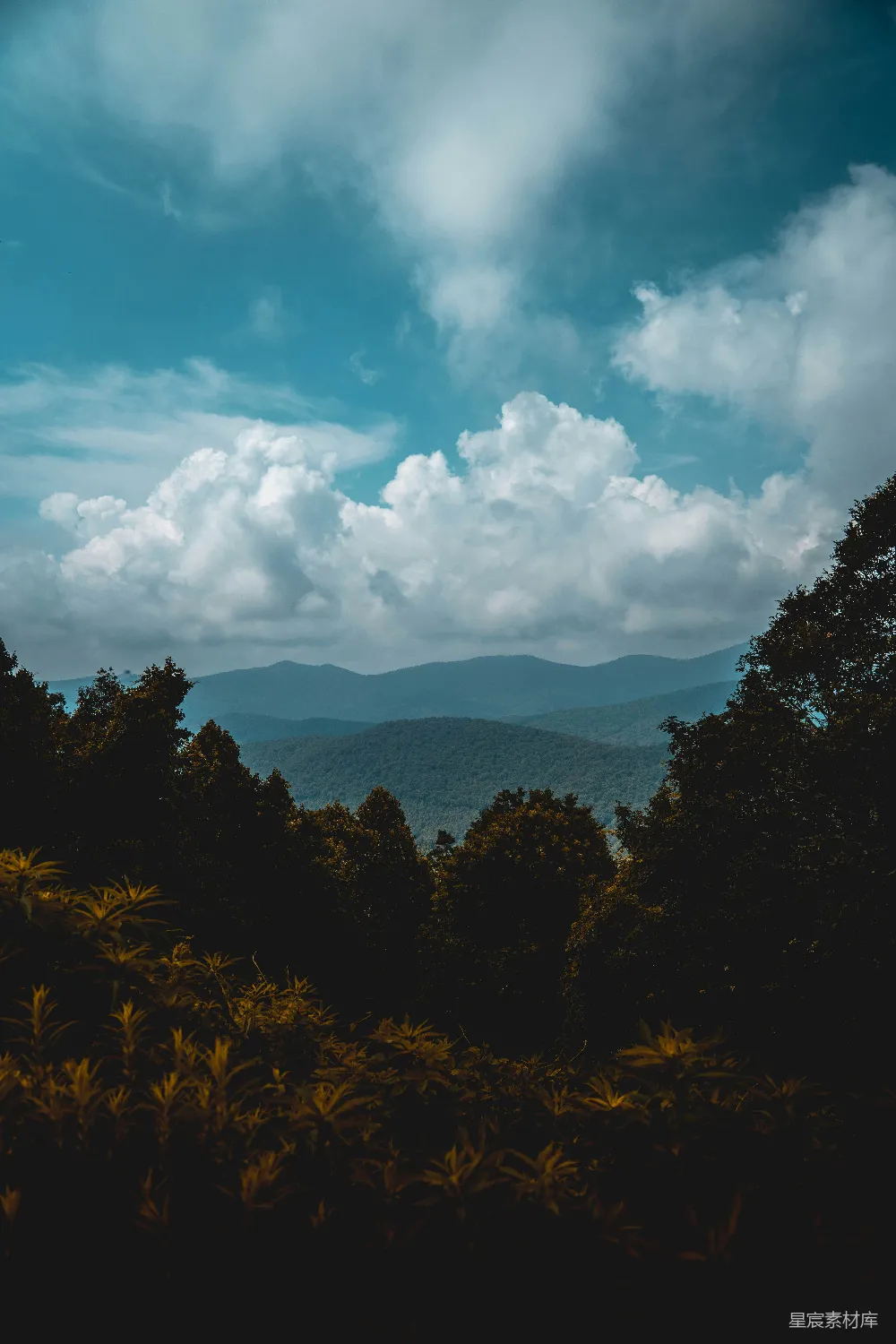 高清摄影 山岭之上树木葱郁
