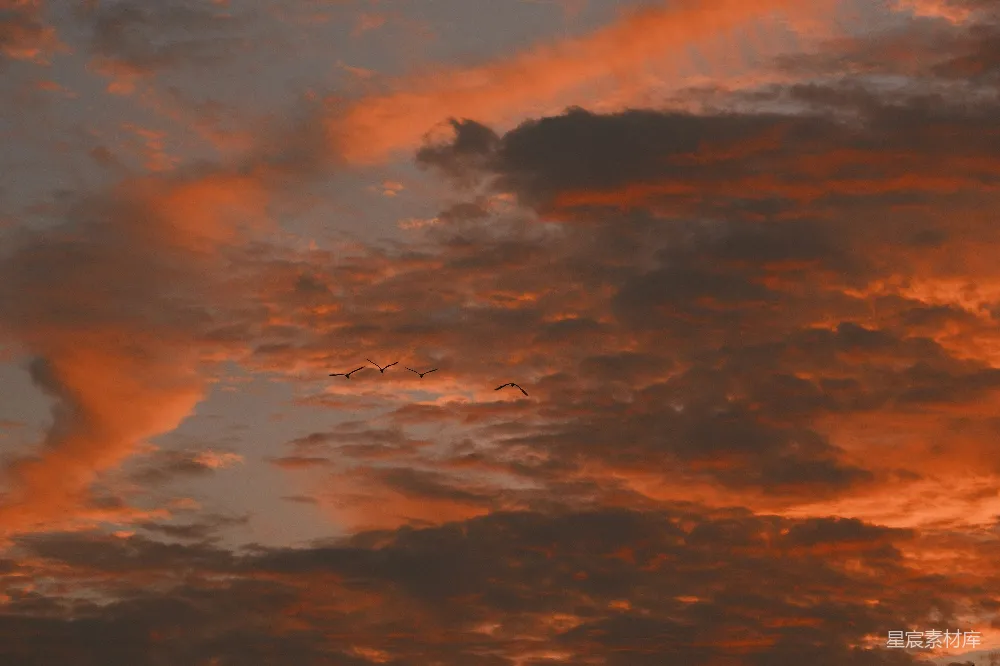 高清摄影 夕阳下的橙色云彩显得格外壮观。