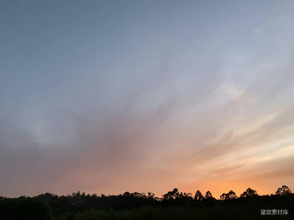 高清摄影 夕阳下的云彩映照着轮廓分明的树木