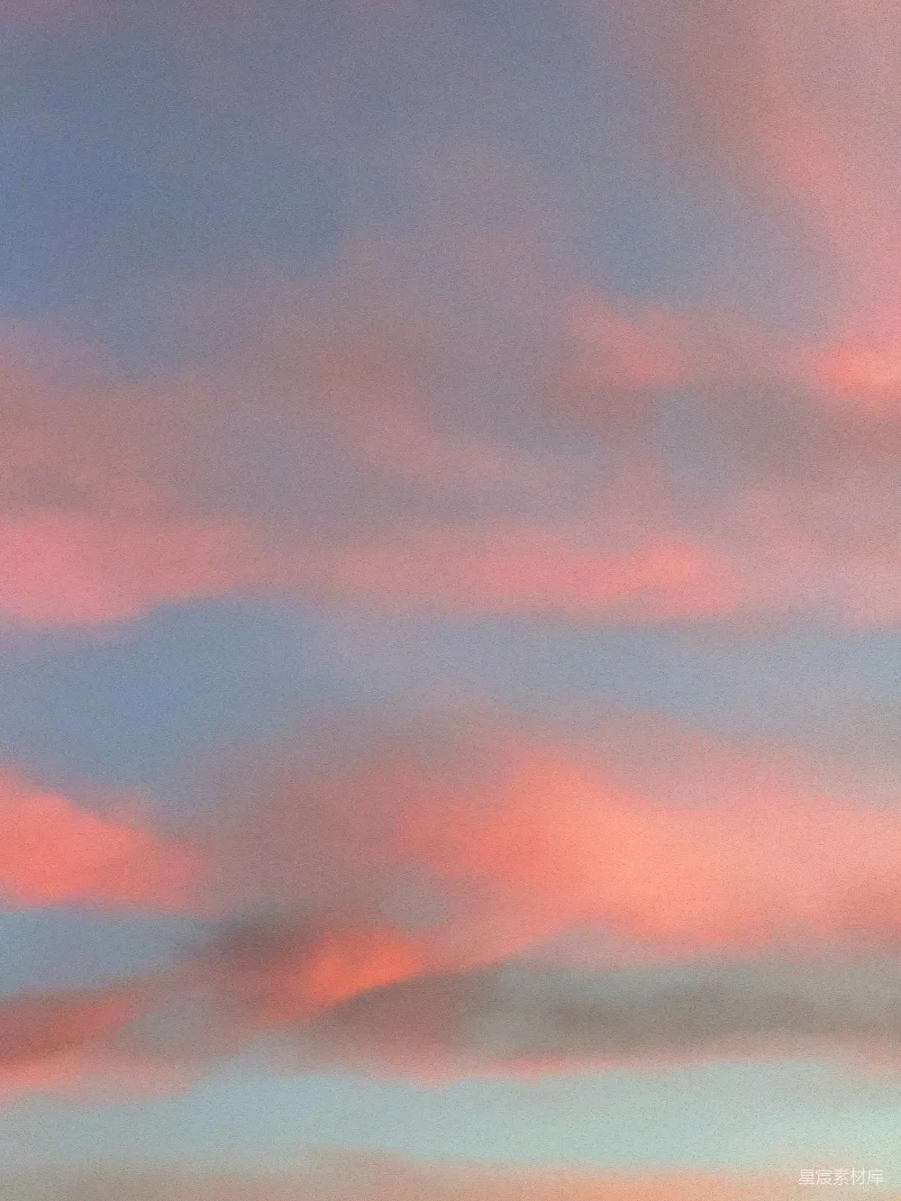 高清摄影 粉色的云朵在蓝色的天空中飘动