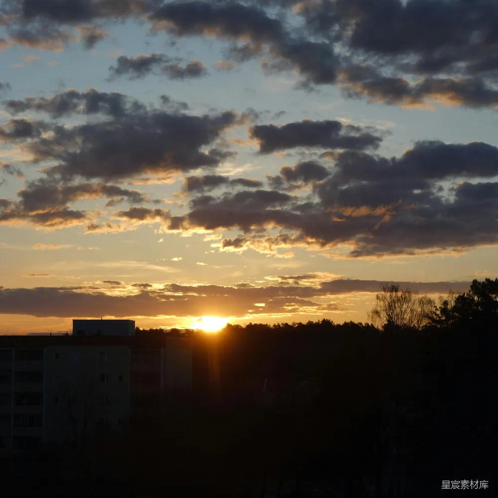 高清摄影 树影下的夕阳与天空中的云朵