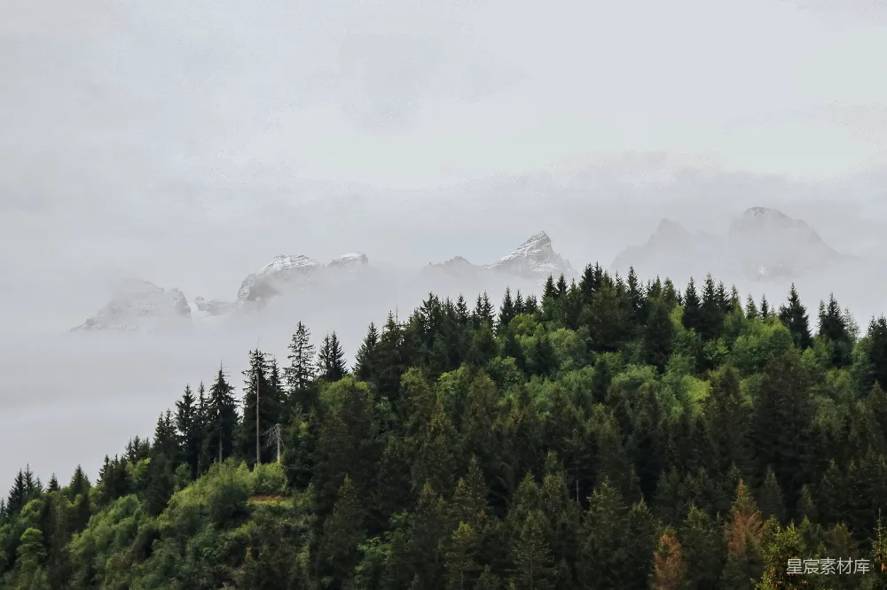 高清摄影 山峦被雾气覆盖，背景是树木和山脉。
