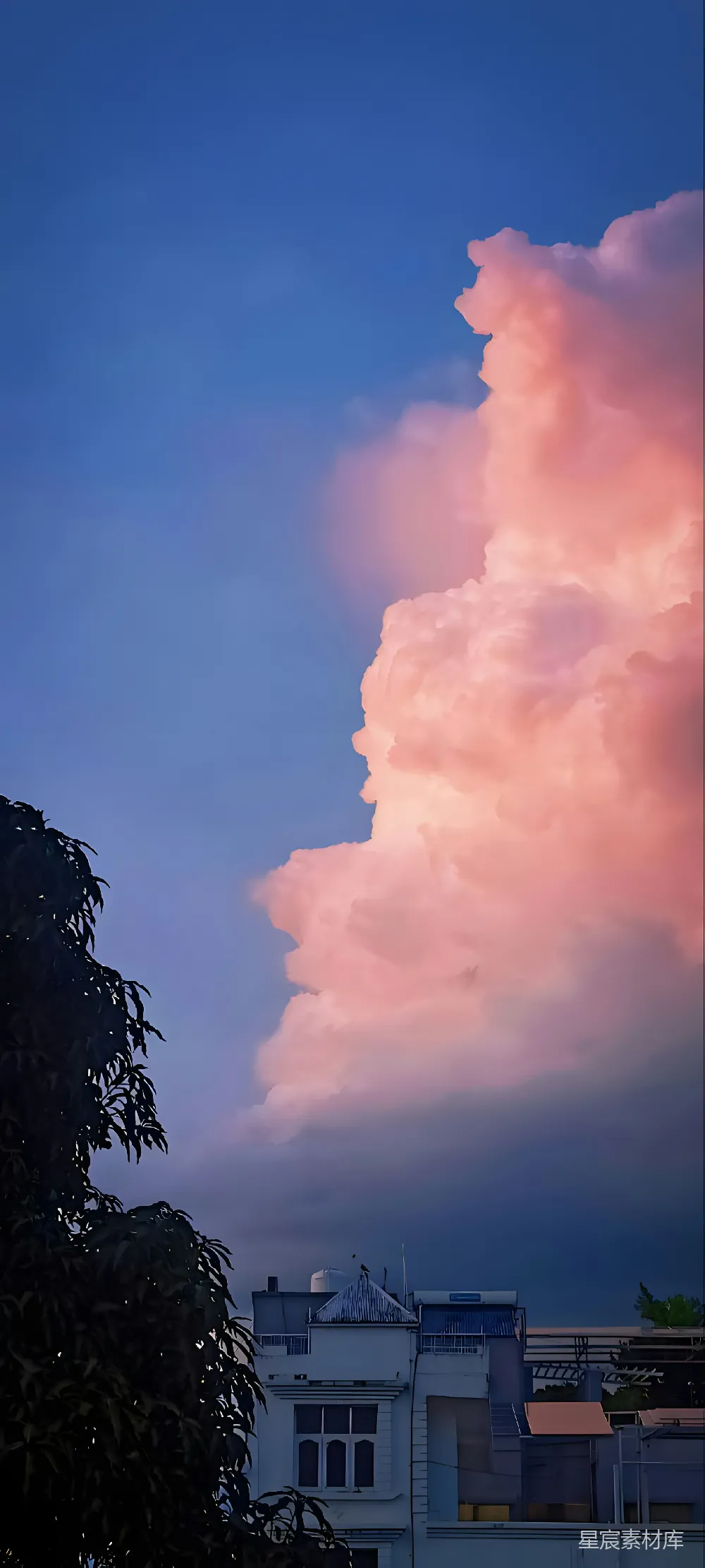 高清摄影 夕阳下建筑物上的粉色云彩