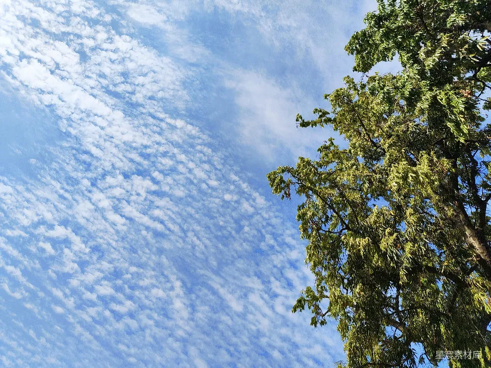 高清摄影 湛蓝的天空中点缀着稀薄的云朵和绿色的树木。