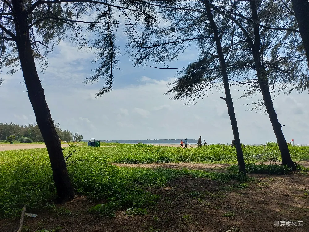 高清摄影 一群人在田地里行走