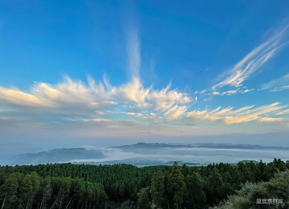 高清摄影 天空中的云景森林