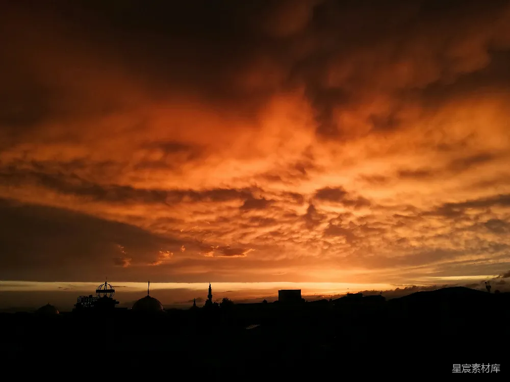 高清摄影 夕阳下云层间的树影轮廓