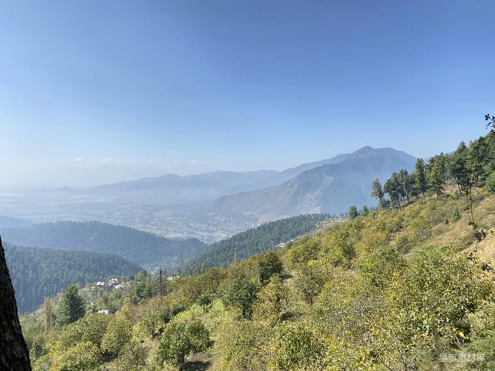 高清摄影  有树有山的风景图