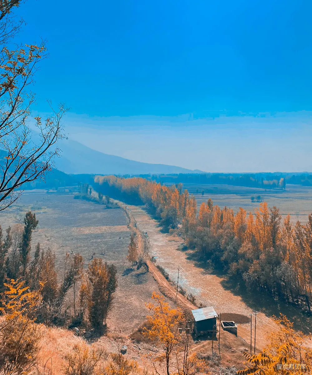 高清摄影 背景中有树木和一片水面的风景图
