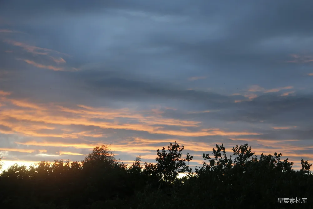 高清摄影 夕阳下的暗树间云彩