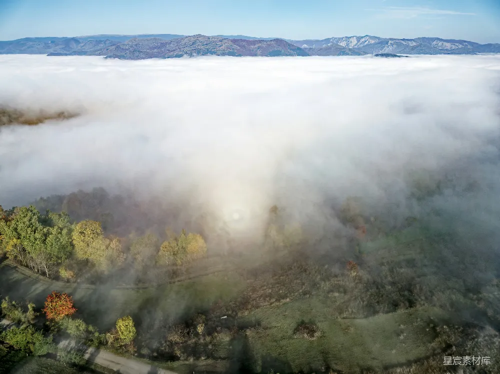 高清摄影 一个有树木和山峦在背景中的雾气笼罩的小山谷
