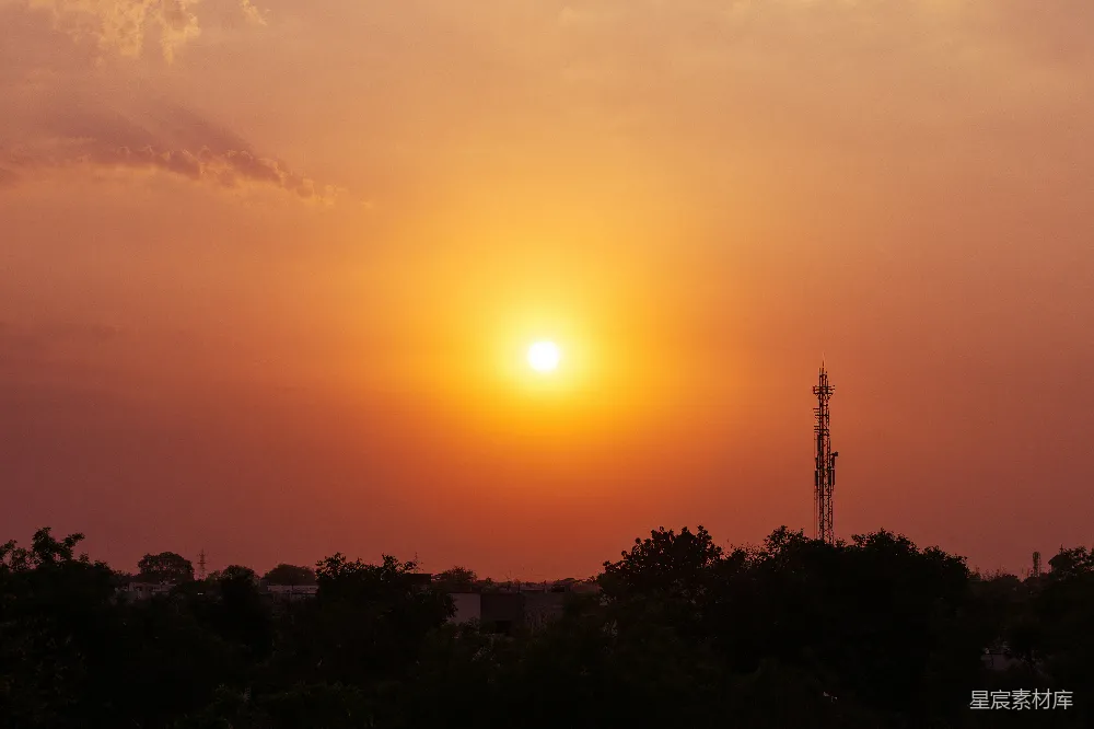 高清摄影 夕阳下的树影轮廓