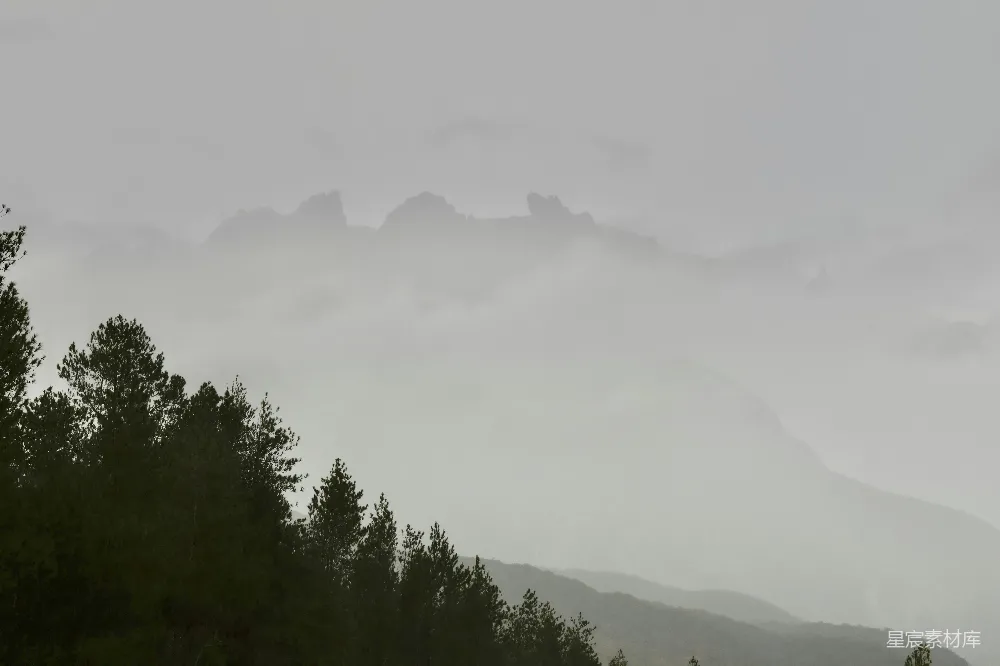 高清摄影 迷蒙的山峦背后是暗淡的松林森林