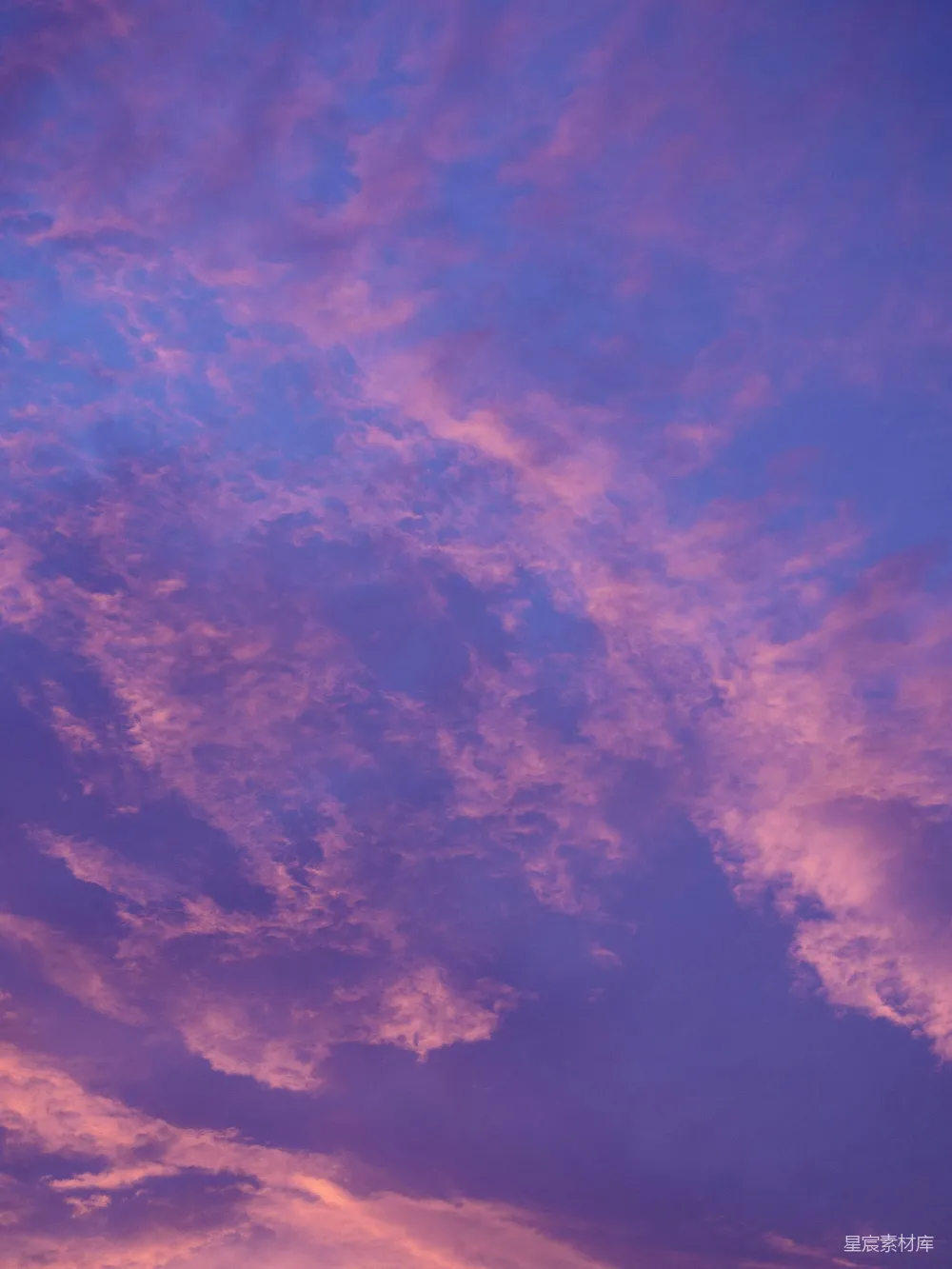 高清摄影 夕阳时分，天空中弥漫着鲜艳的紫色和粉色云彩。
