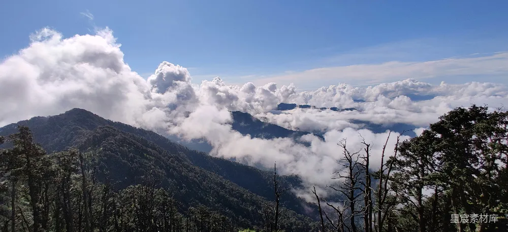 高清摄影 山中绿树下白云蓝天间白天景色