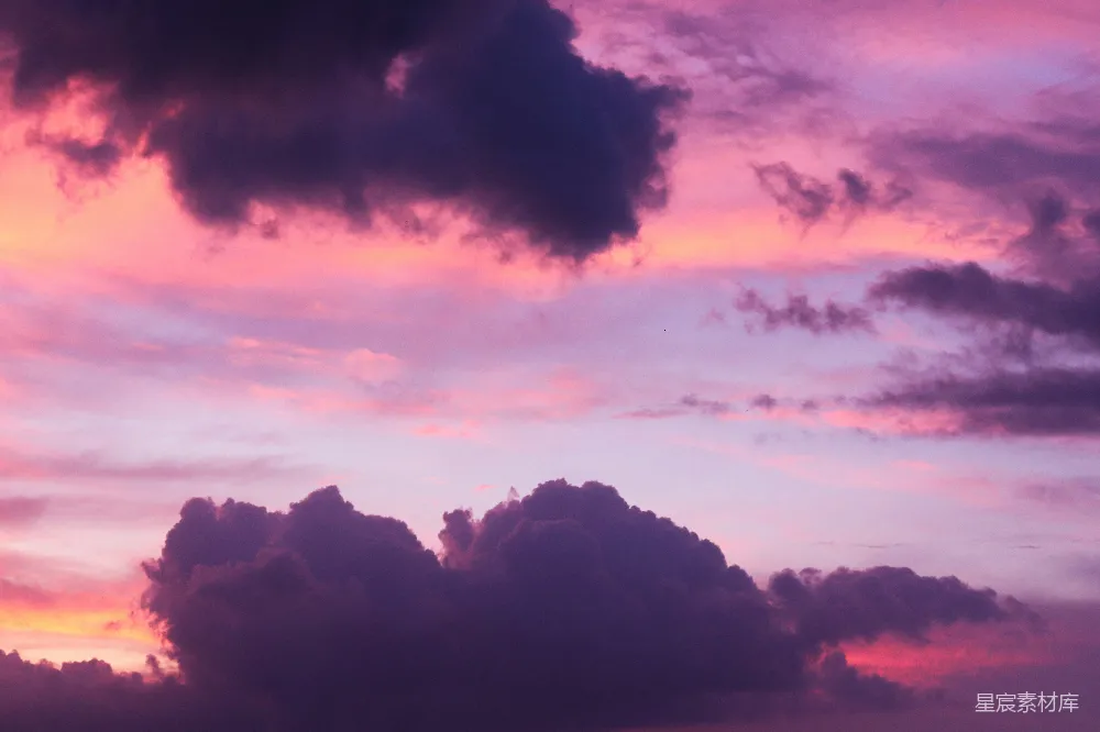 高清摄影 夕阳下树影的轮廓图象在阴云之间