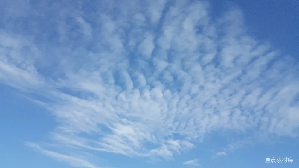 高清摄影 一群人在云层覆盖的蓝色天空下站在海滩上