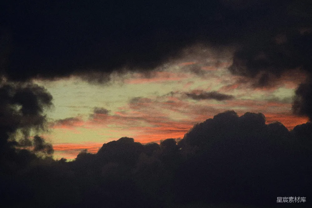 高清摄影 夕阳下的树影轮廓
