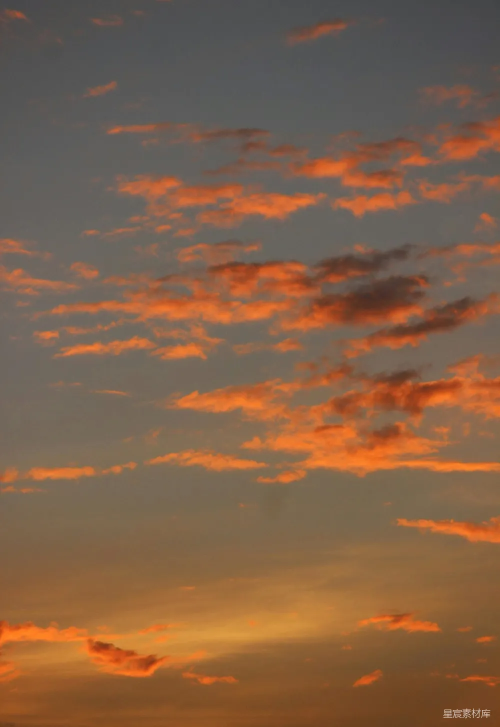 高清摄影 夕阳下的飞机在天空中飞行