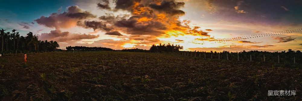 高清摄影 夕阳西下，映照着一片长满树木的田野。