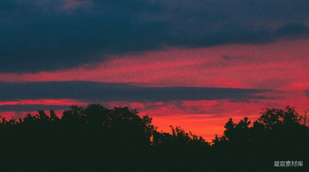 高清摄影 夕阳下的树影轮廓