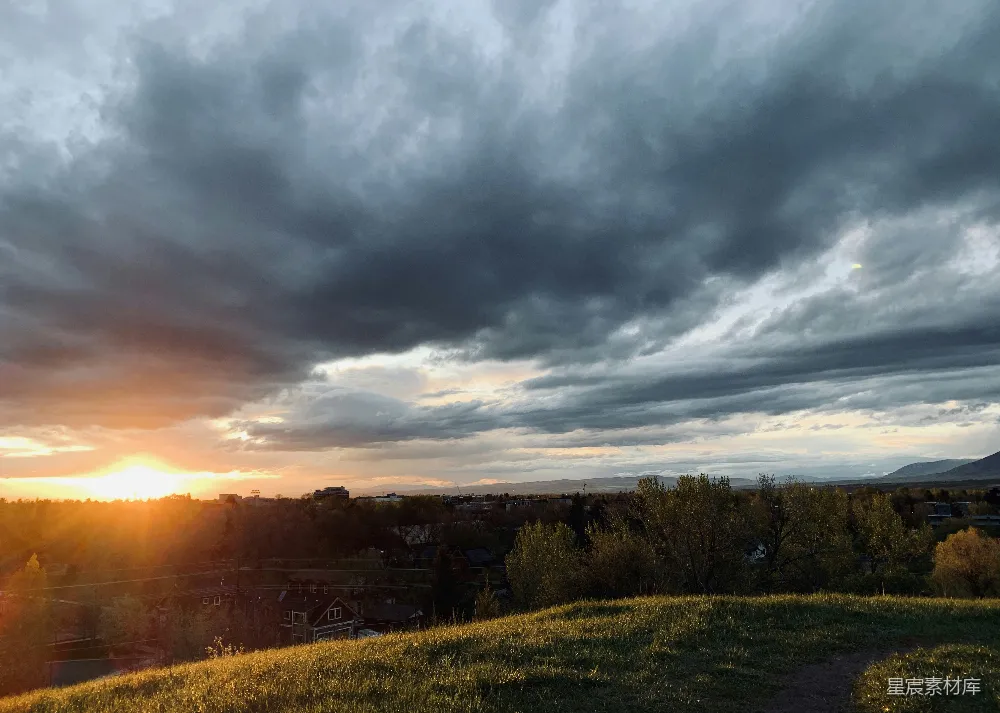 高清摄影 夕阳下绿草丛中的天空带云景观