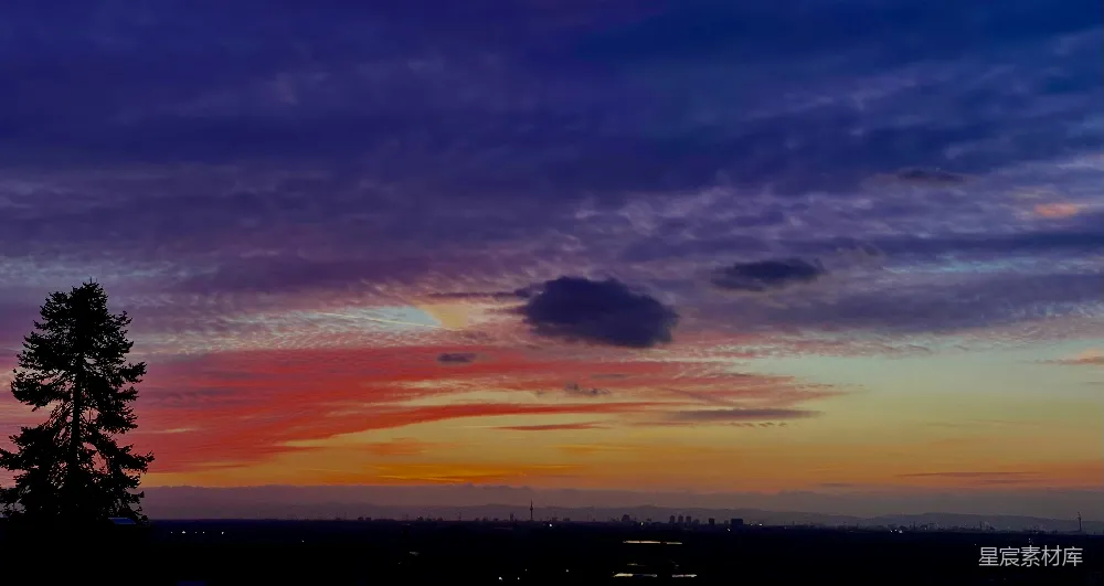 高清摄影 夕阳下的云彩和前景中的树木