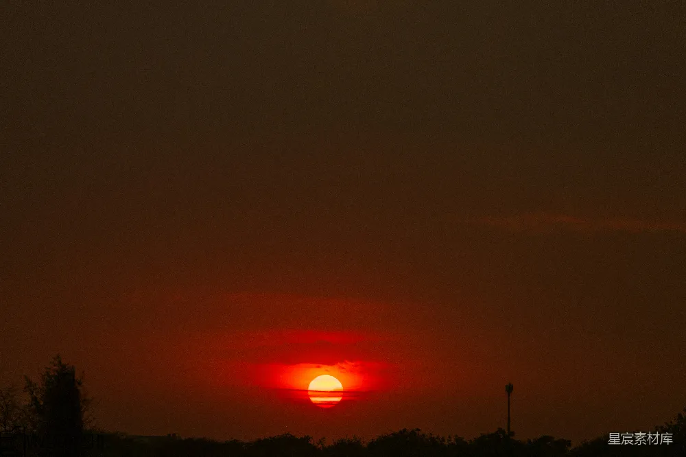 高清摄影 夕阳下树的轮廓