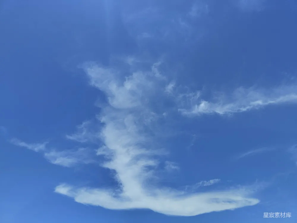 高清摄影 一群人在沙滩上站立在顶部。