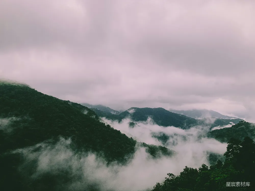 高清摄影 山中绿树映衬着白云缭绕