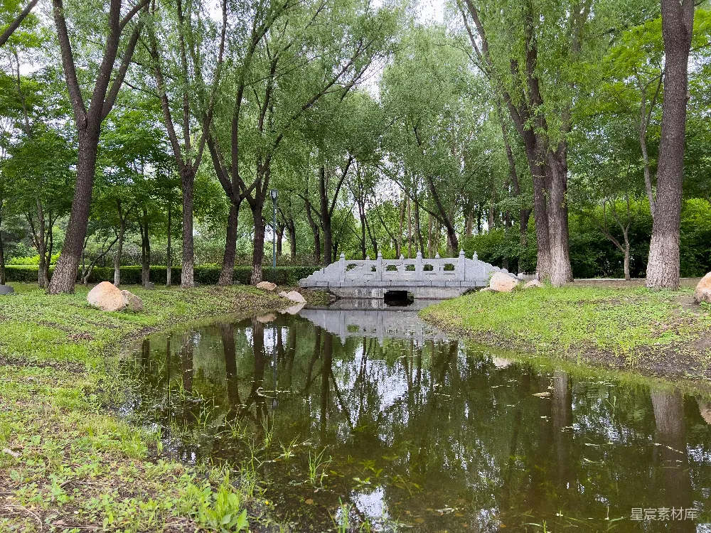 高清摄影 桥跨过一片被树木环绕的水体