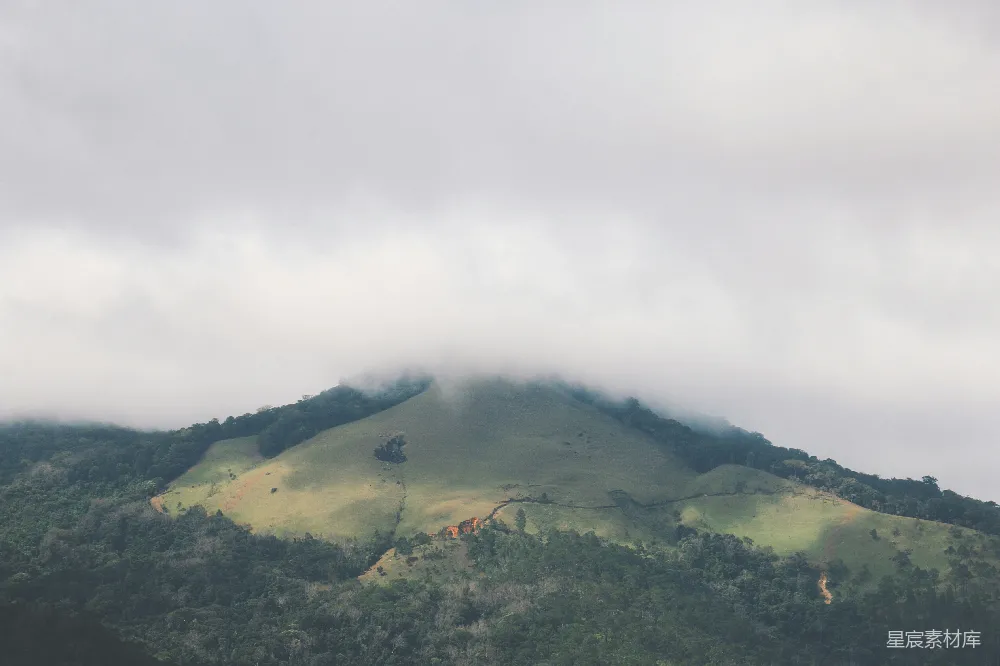 高清摄影 云雾缭绕的山林中的一个阴天景象