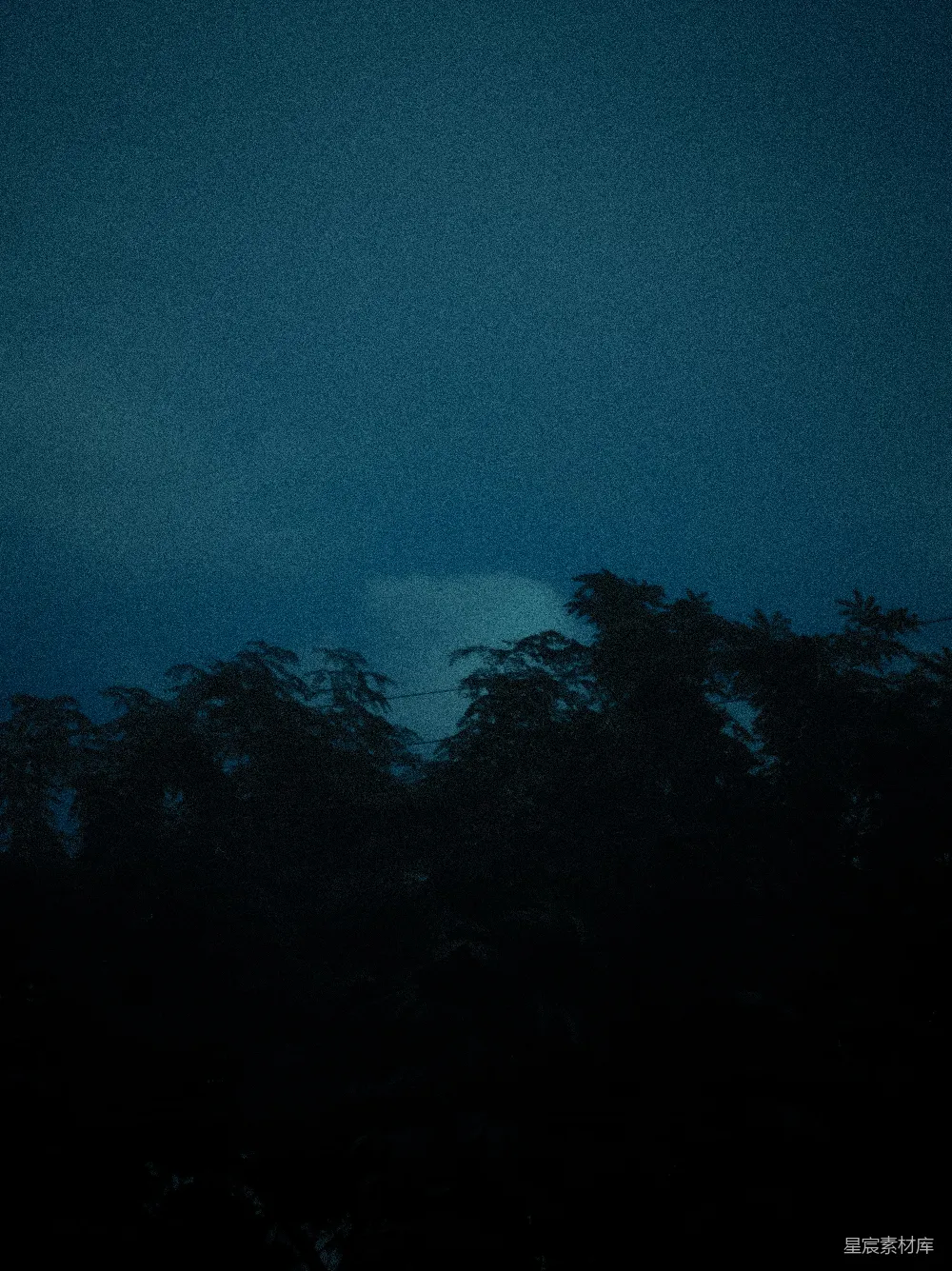 高清摄影 暗树矗立在一片暴风雨般的深蓝天空中
