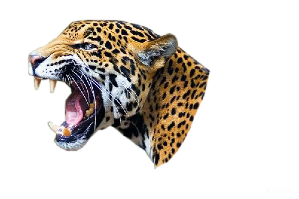 元素素材 jaguar