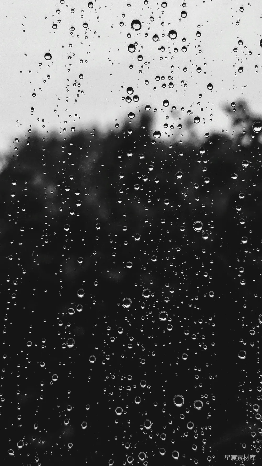 高清摄影 窗户上的露水