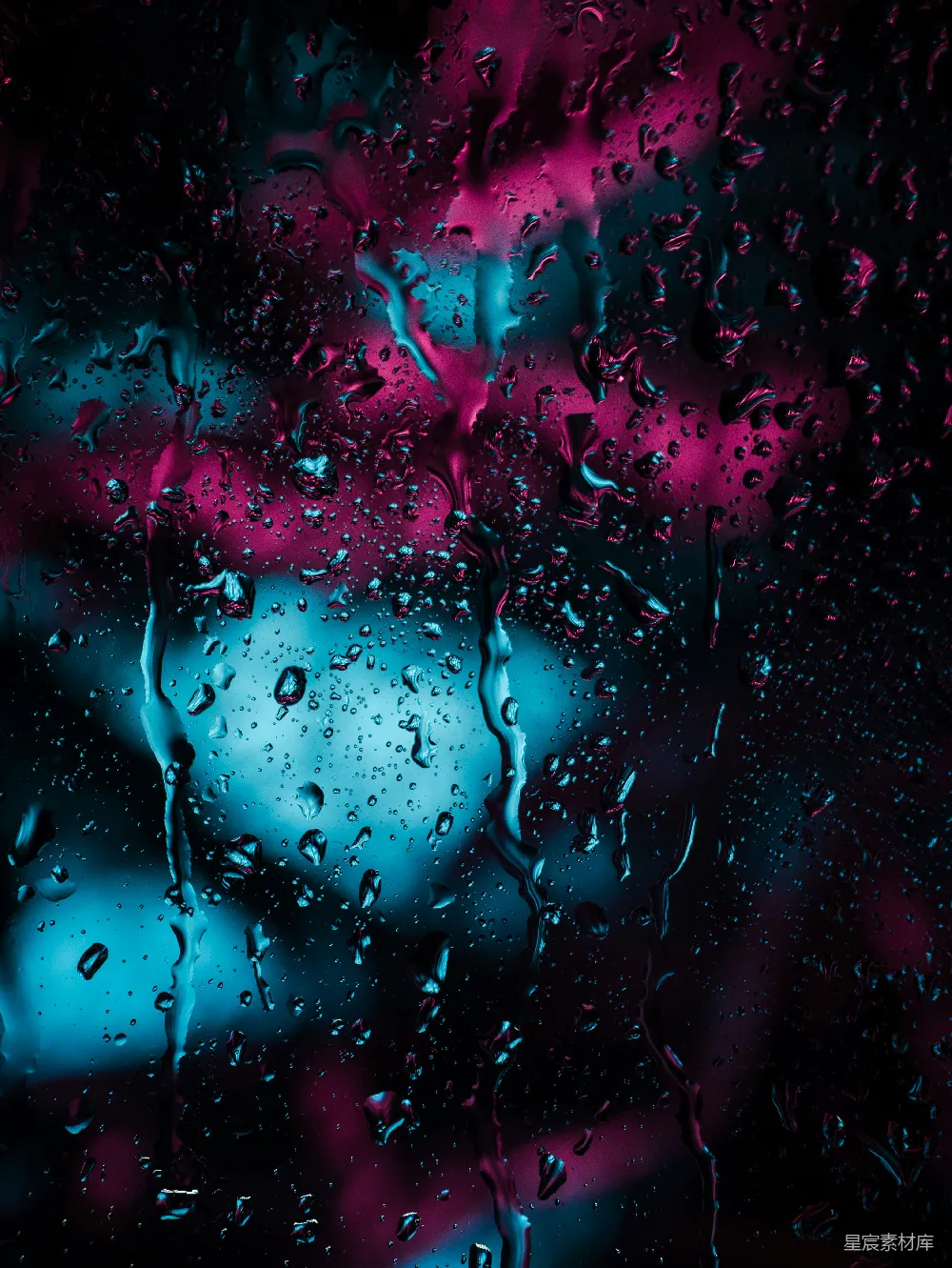 高清摄影 雨滴特写照片