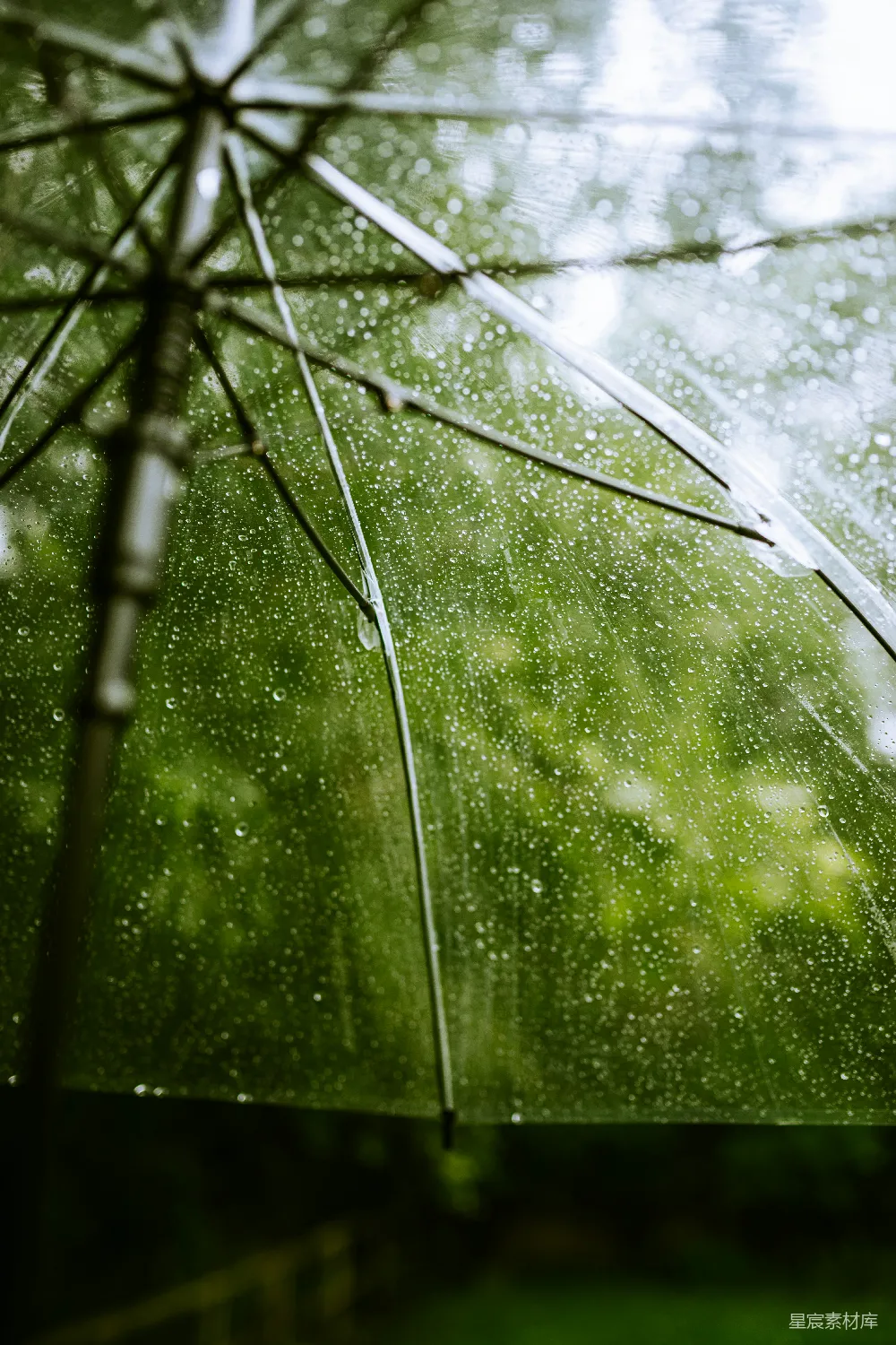 高清摄影 蜘蛛网上的水汽凝结