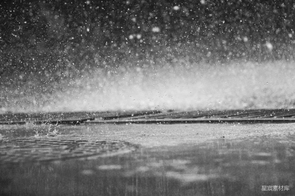 高清摄影 灰度照片中的雨滴