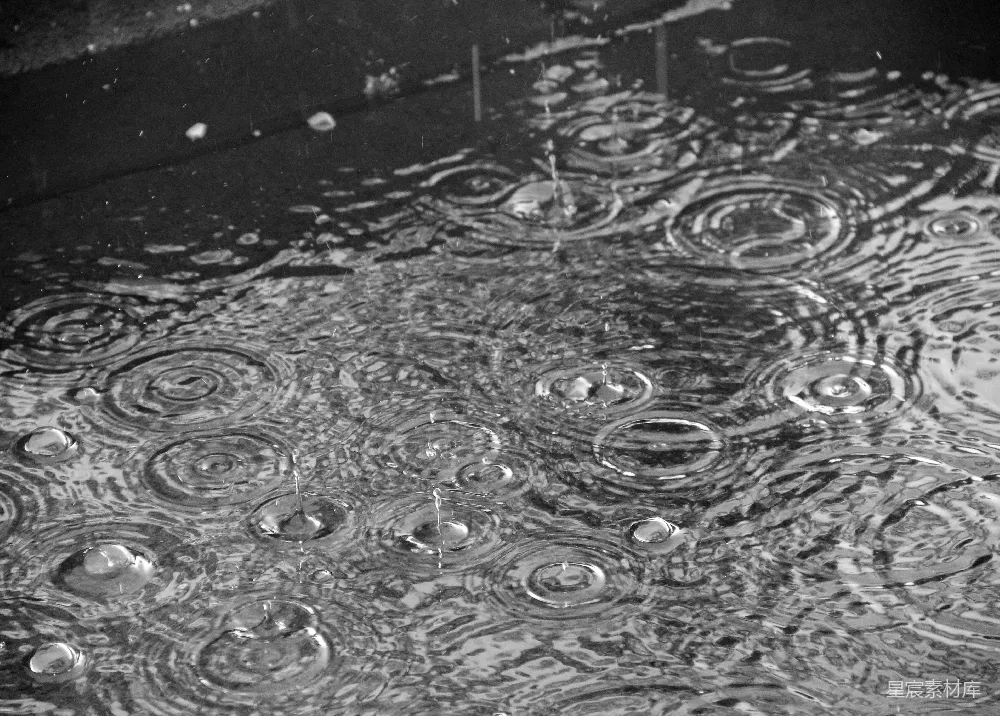 高清摄影 黑白照片中雨滴落在水洼里的景象