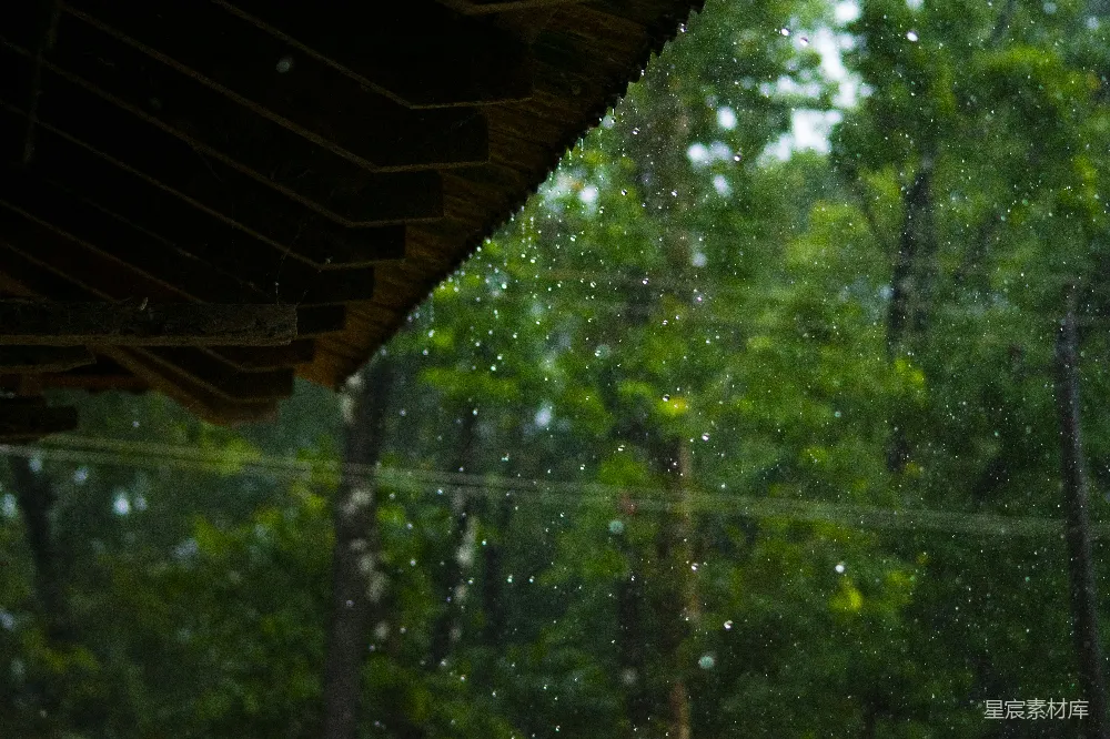 高清摄影 透过蒙上雨水的窗户看去的一片森林