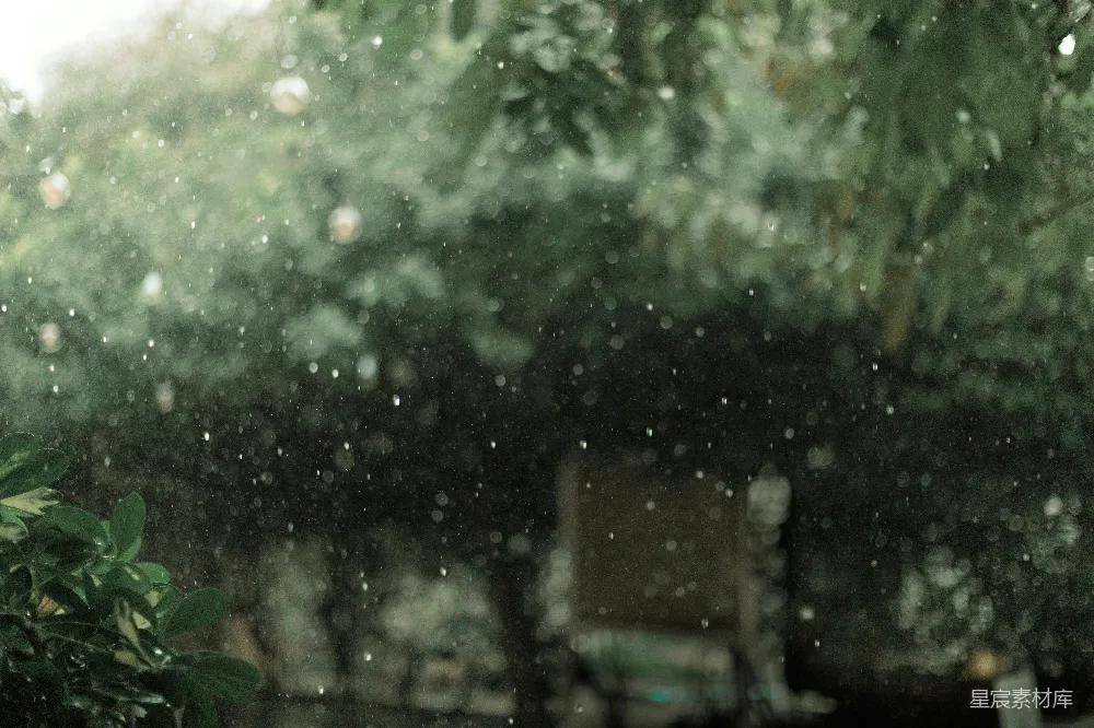 高清摄影 雨中的一幅模糊的树和凳子的照片