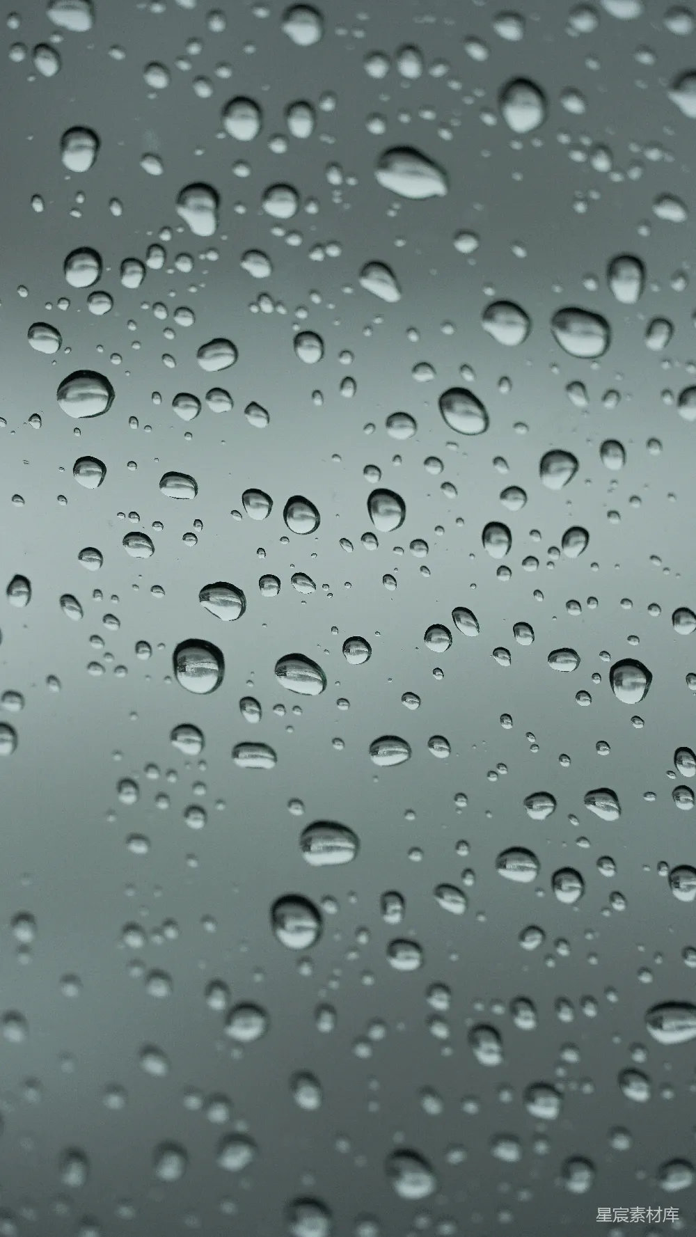高清摄影 一幅近景描绘着被雨水打湿的窗户。