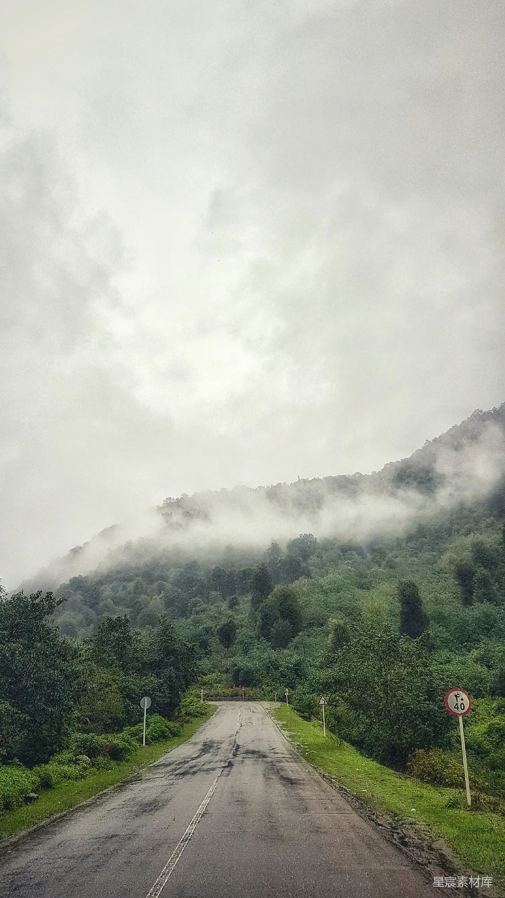 高清摄影 山中绿树映衬着白云，白天景色。
