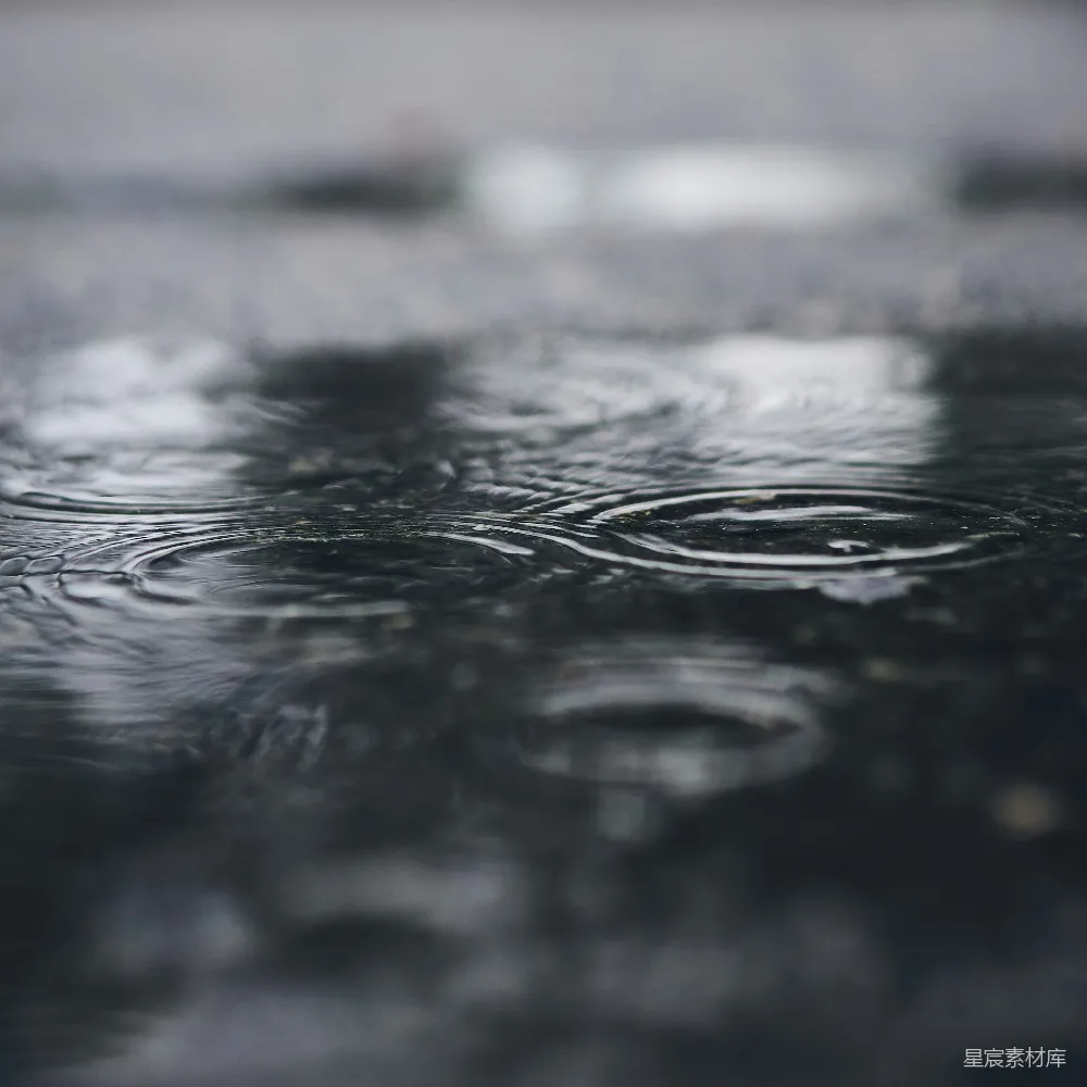 高清摄影 灰度照片中的雨滴