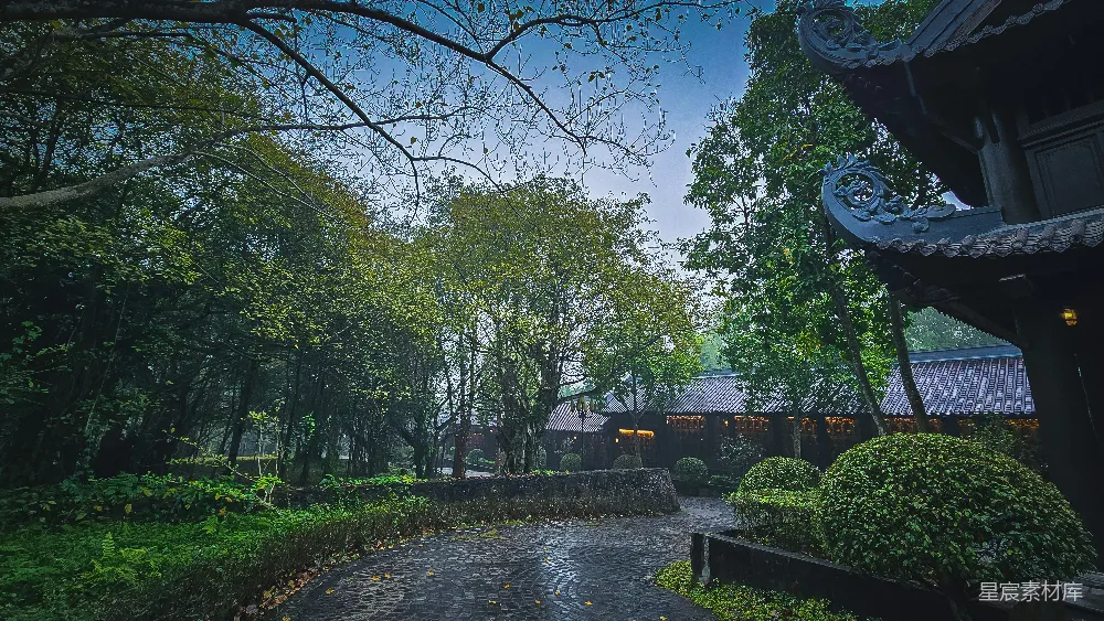 高清摄影 一幅有许多树木的公园的照片