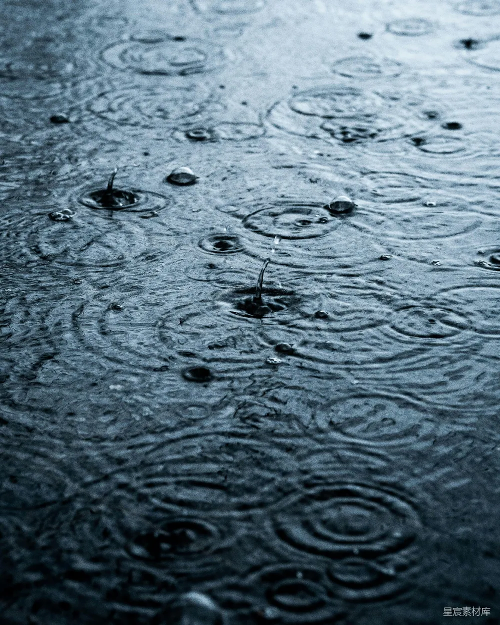 高清摄影 湿面上的一群雨滴