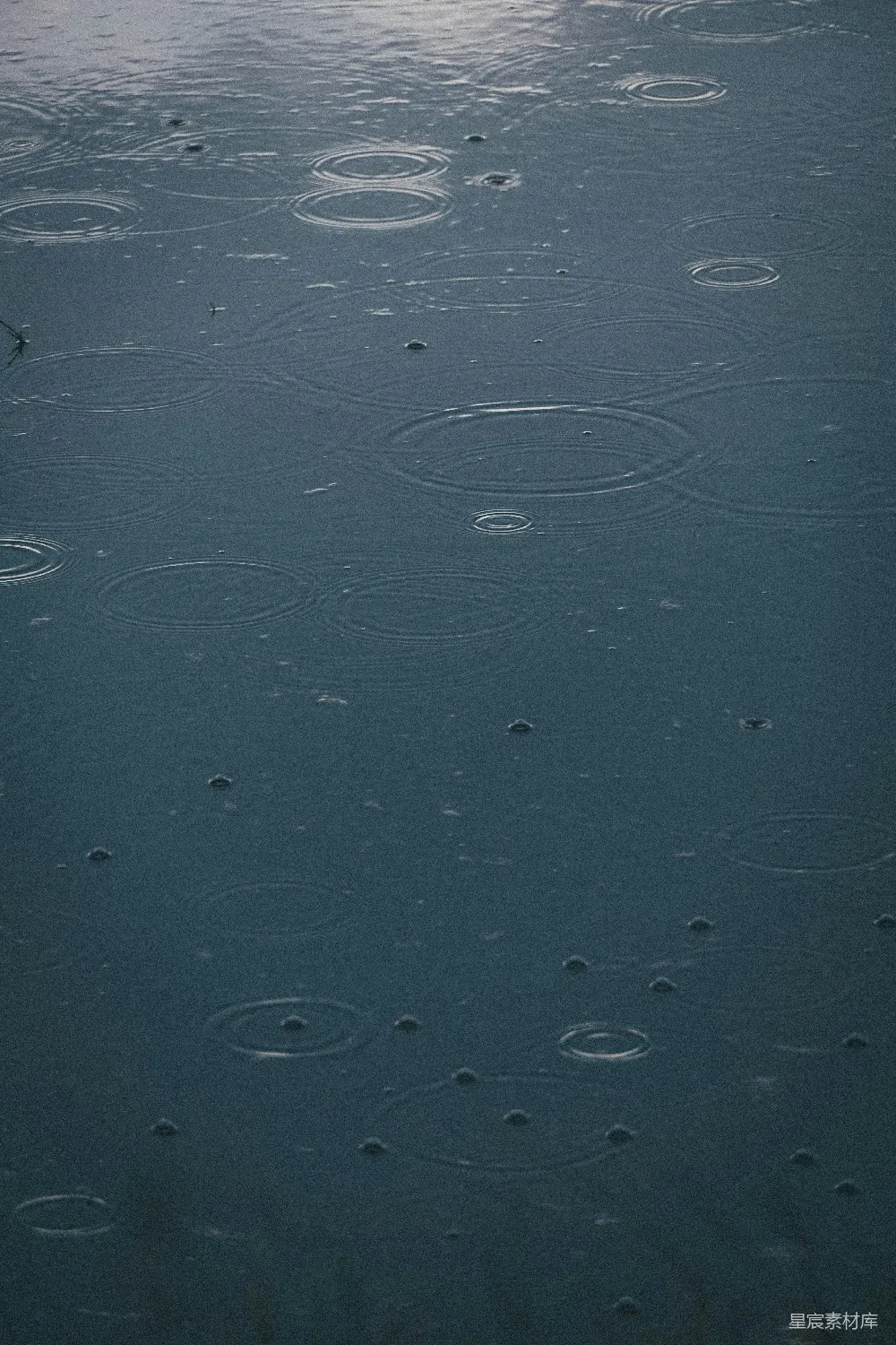 高清摄影 水面上的雨滴